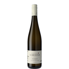 Schuster Grüner Veltliner Wagram BIO
